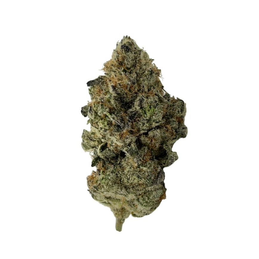 BOARDWALK DREAMS 7G
