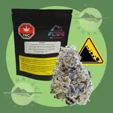 LANDSLIDE 3.5G