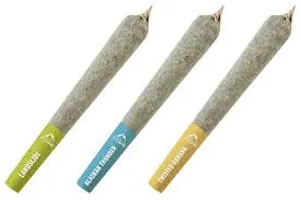 TWISTED TRIO PR3X0.5G