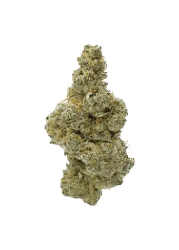 CAMPFIRE GAS PR7X0.5G
