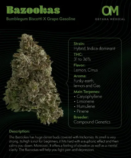 BAZOOKAS HALF OUNCE 14G