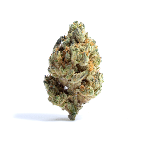 CALI SUN VARIETY PACK PR4X0.5G