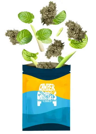 KHALIFA MINTS PR3X0.5G