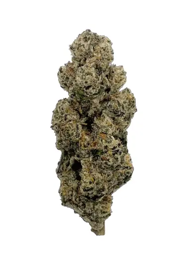 GRAPE STANK 7G